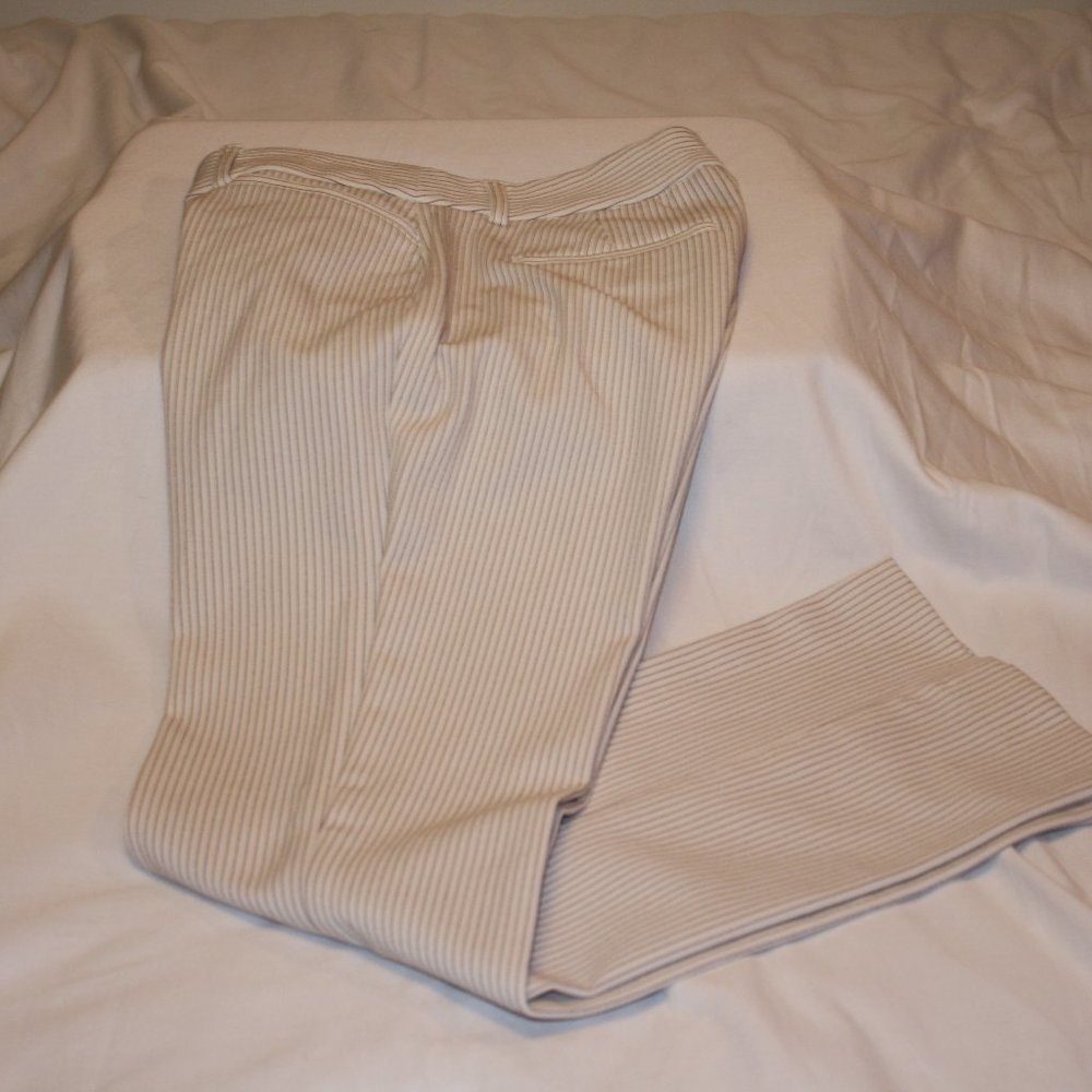 Express Columnist Barely Boot Pants Size 4 - image 1